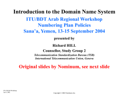 The Domain Name System - ITU