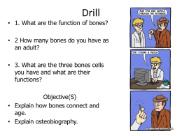 Chapter 13 Forensic Anthropology: What We Learn from Bones By