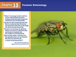 Forensic Entomology Notes