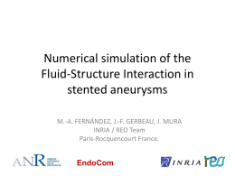 Numerical simulation of the Fluid-Structure Interaction in