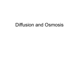 Diffusion and Osmosis - Washington State University