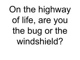 The Bug and The Windshield Powerpoint