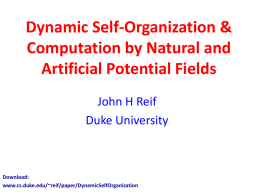 DynamicSelfOrganizat.. - Duke Computer Science