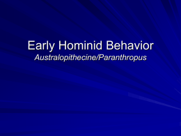 Early Hominid Behavior