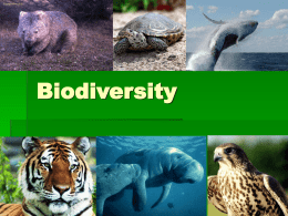 What causes the loss of biodiversity?