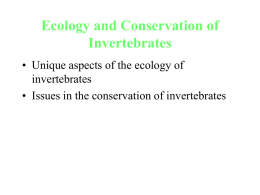 Why Conserve Invertebrates?