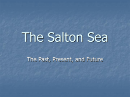The Salton Sea -