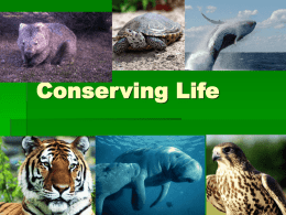 Biodiversity and HIPPO PowerPoint