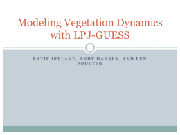 Modeling Vegetation Dynamics with LPJ