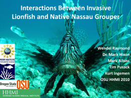Effects of between invasive lionfish and native Nassau grouper