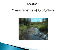 Chapter 4 notes