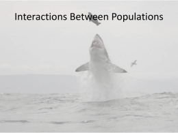 Interactions Between Populations
