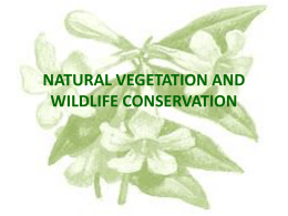 ppt on wildlife conseravtion - geoworld