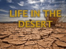 Desert Presentation Examplar