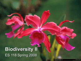 Biodiversity II