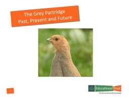 NGOET Grey Partridge Presentation