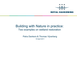 Royal Haskoning PPT template