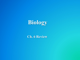 Biology_Ch._6