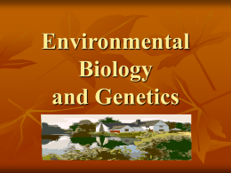 Environmental Biology (Energy Flow)