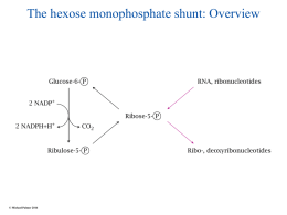 9-Hexose-monophosphate-shunt