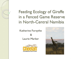 Feeding Ecology of Giraffe (Giraffa camelopardalis) in a