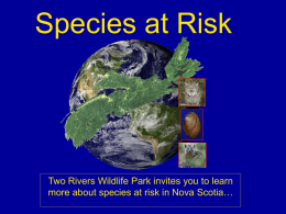 Species at Risk - Two Rivers Wildlife