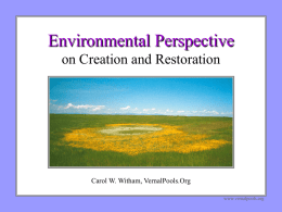 Environmental Perspective on Restoration and Creation