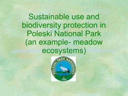 presentation - Poleski National Park