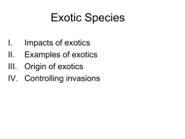 Exotic Species - University of San Francisco