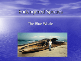 Endangered Species - Purdue University North Central