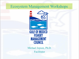 Gulf of Mexico Fishery Management Council Ecosystem