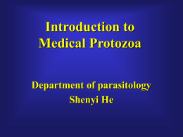 Medical Protozoa - Shandong University