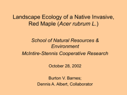 Landscape Ecology of a Native Invasive Red Maple (Acer