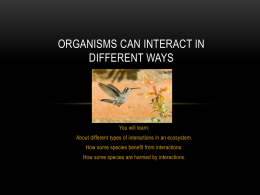 Organisms Can Interact in Different Ways