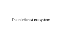 The rainforest ecosystem - Environmental Systems and Societies