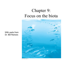 Focus on the Biota: Metabolism, Ecosystems, and Biodiversity