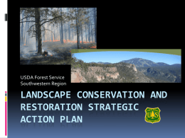 Landscape Conservation and Restoration Strategic action plan