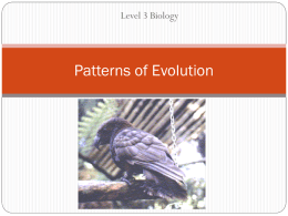 Level 3 Biology - BryantNet