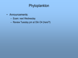 Phytoplankton 9 Oct 2001