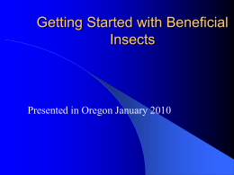 Getting Started with Beneficial Insects 2010