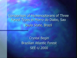 Comparison of Hymenopterans of Three Forest Types in Morro