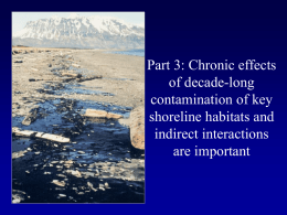 Delayed, chronic, and indirect effects of shoreline oiling