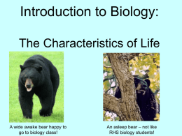 Introduction to Biology: The Characteristics of Life