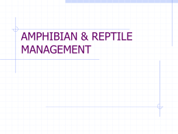 AMPHIBIAN & REPTILE MANAGEMENT