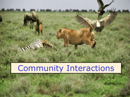 Community Interactions - Welcome to the Home Page for