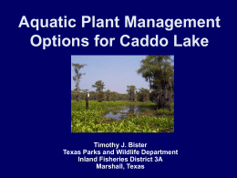 Aquatic Plant Management Options for Caddo Lake