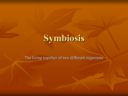 Symbiosis - Byron Senior High School
