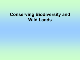 Conserving Biodiversity and Wild Lands