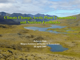 Climate change & arctic plants