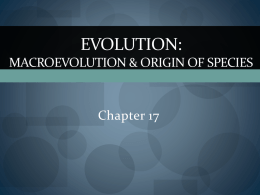 Evolution: Macroevolution & origin of species